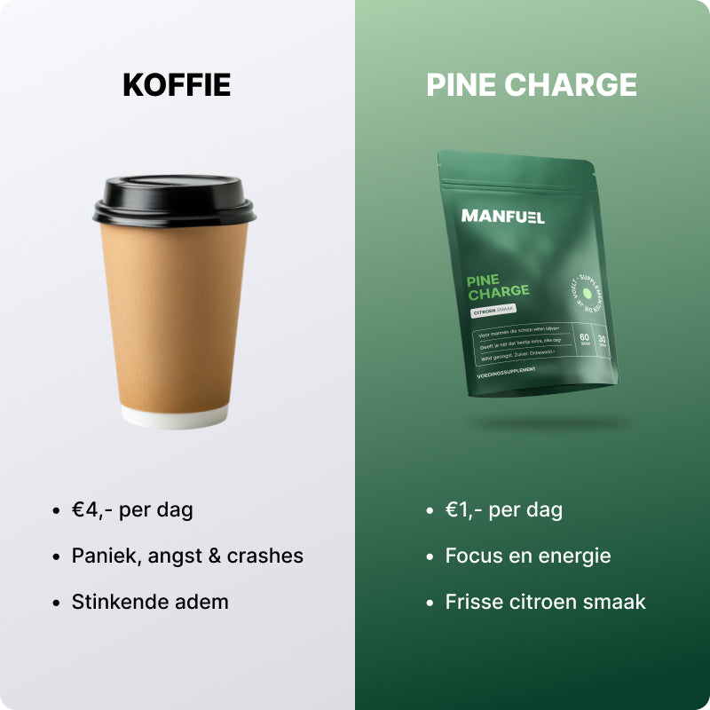 PINE CHARGE
